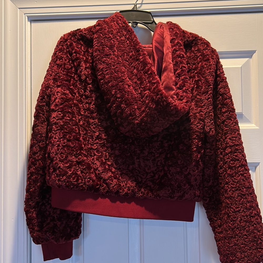 Coat. - Picture 2 of 5